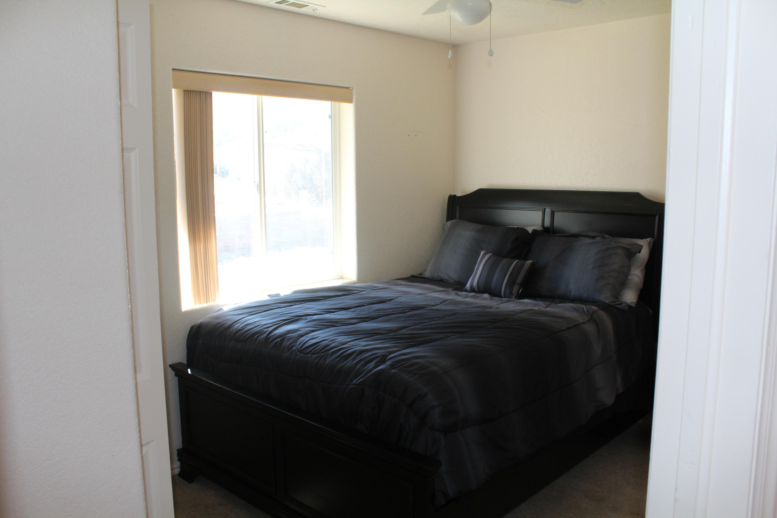 405 W BRISTLECONE DR