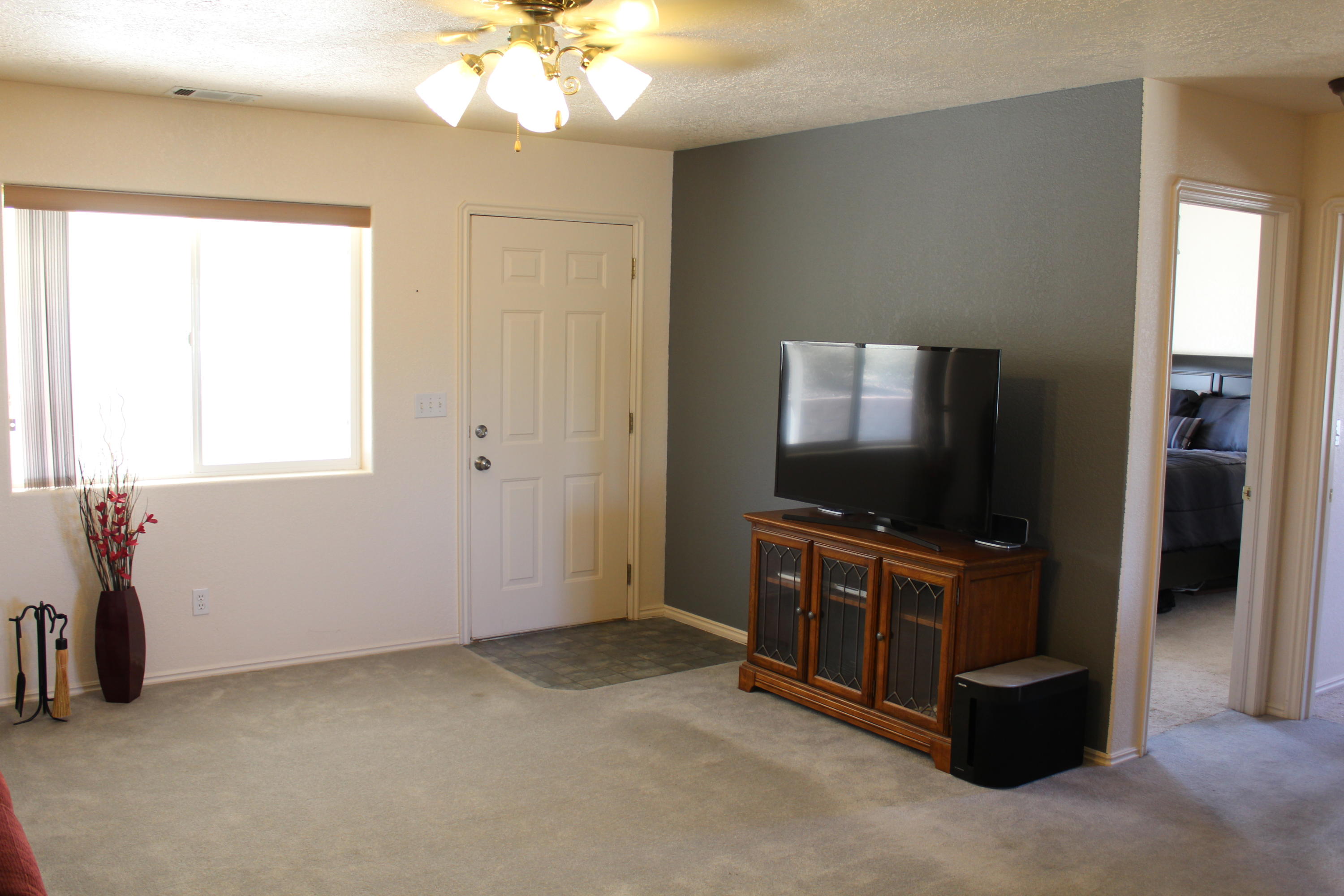 405 W BRISTLECONE DR