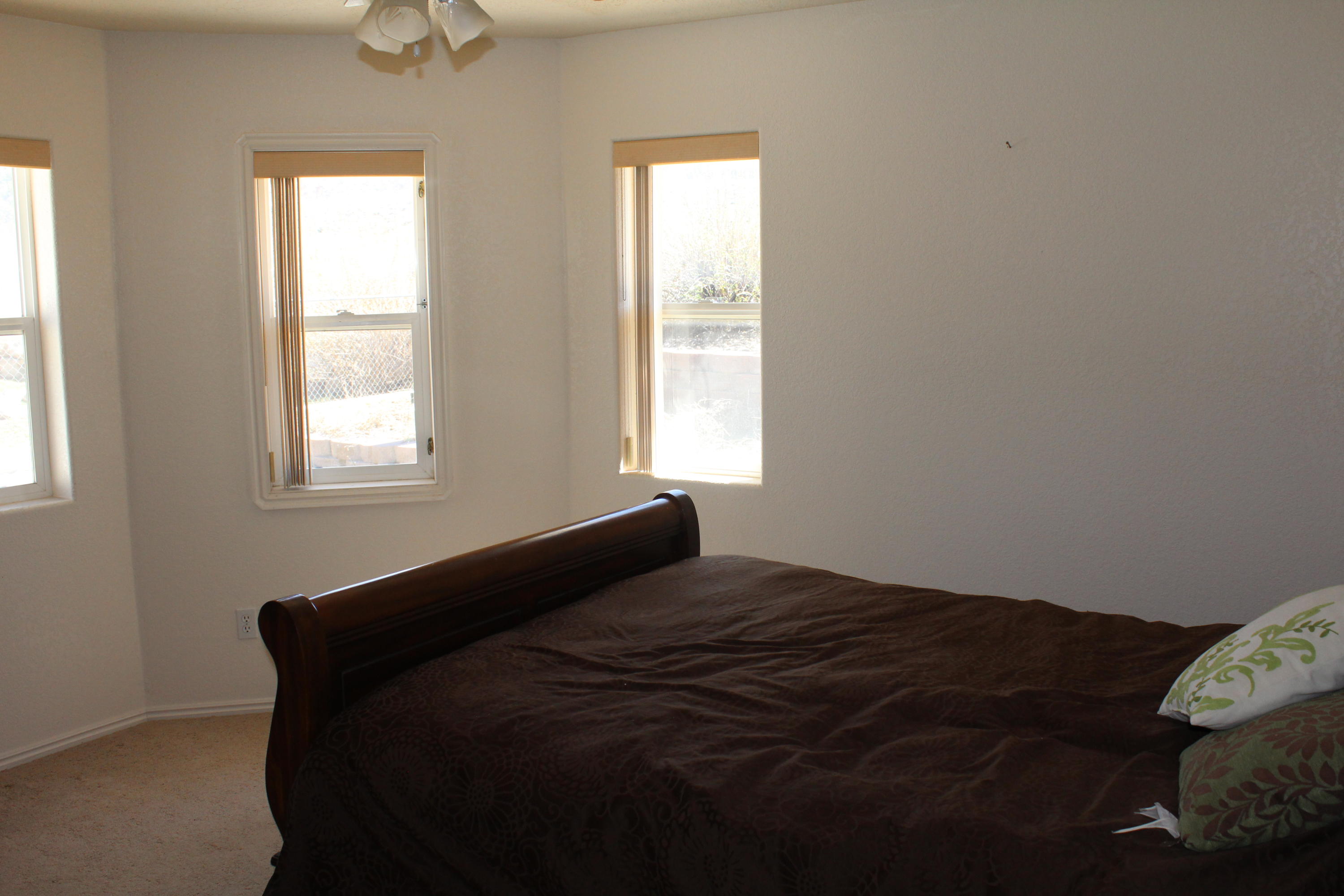 405 W BRISTLECONE DR