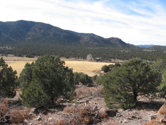 4239 S LITTLE PINTO CREEK RD