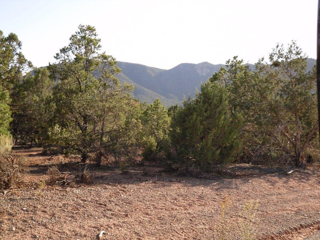 4239 S LITTLE PINTO CREEK RD