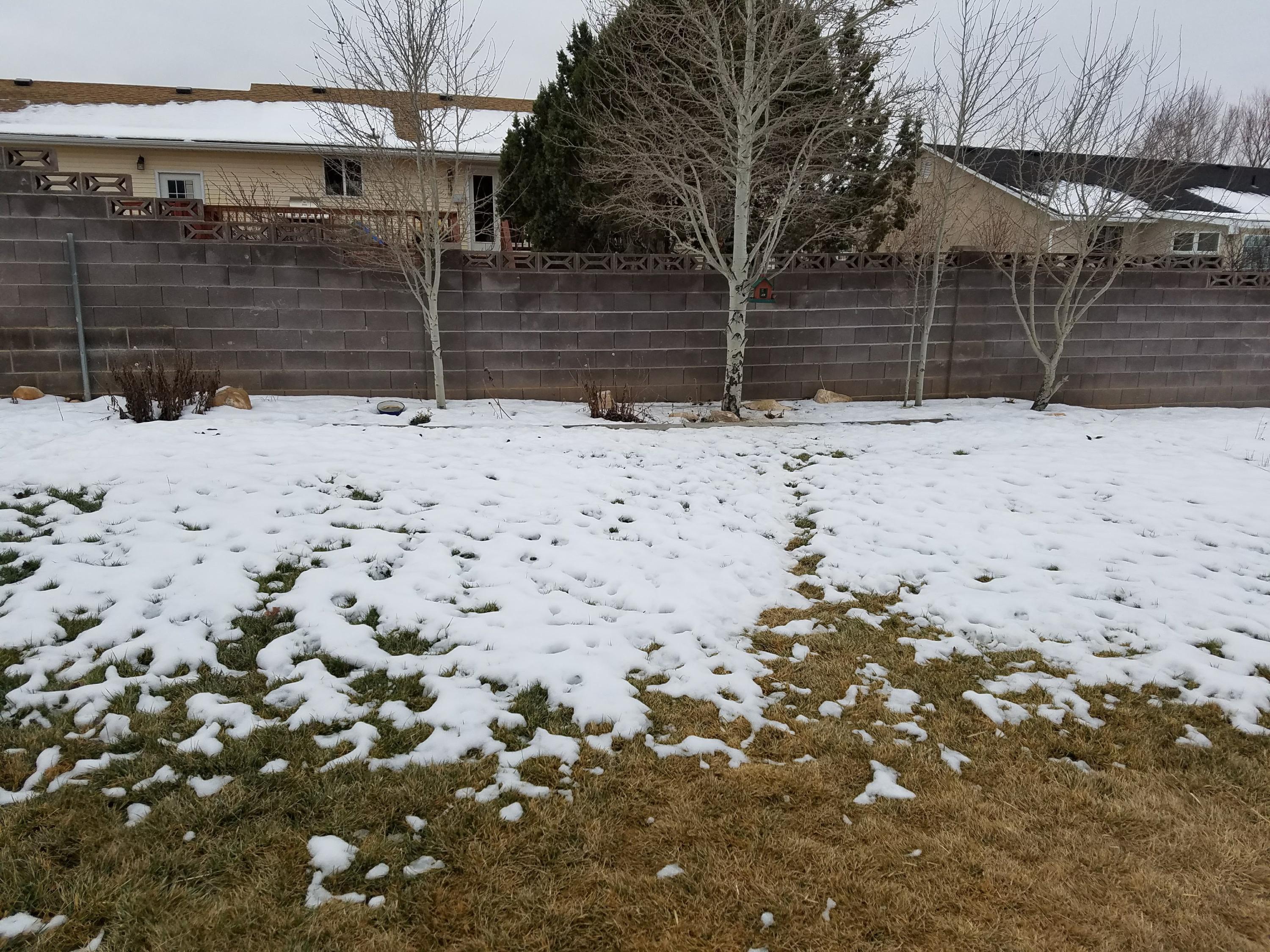 908 E Nichols Canyon