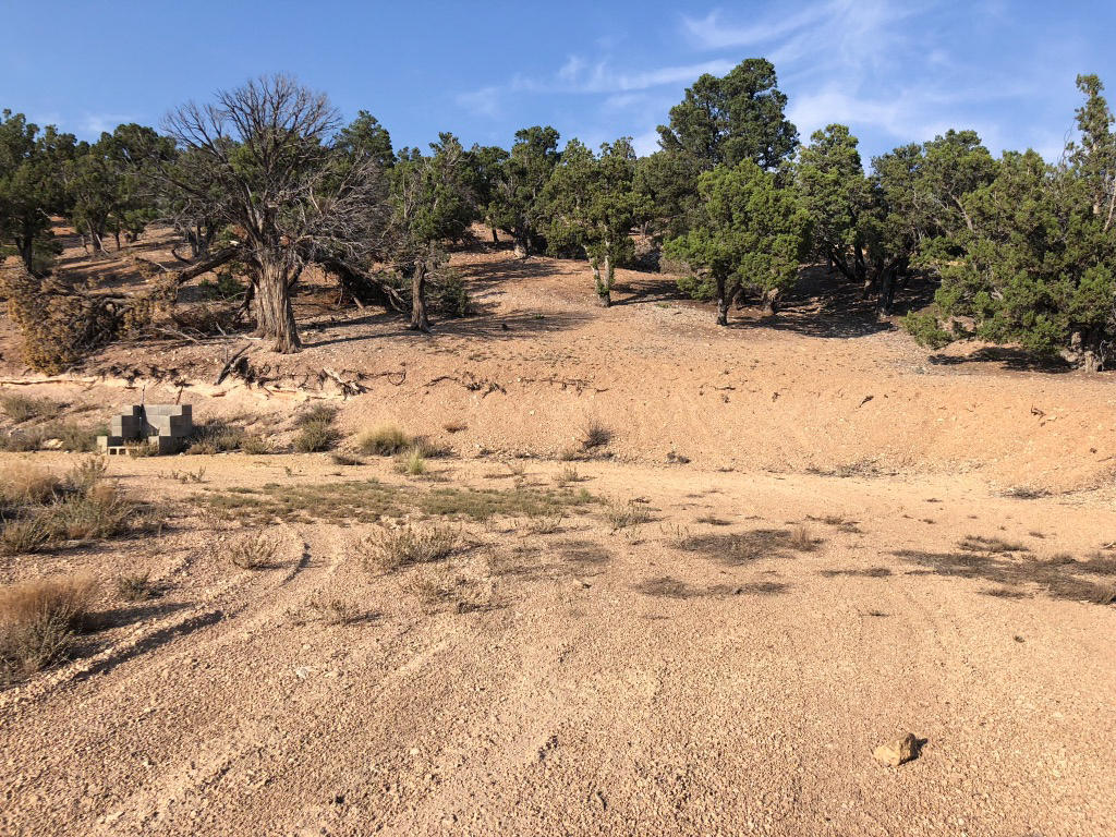 20 acres Mount Claron Comstock RD