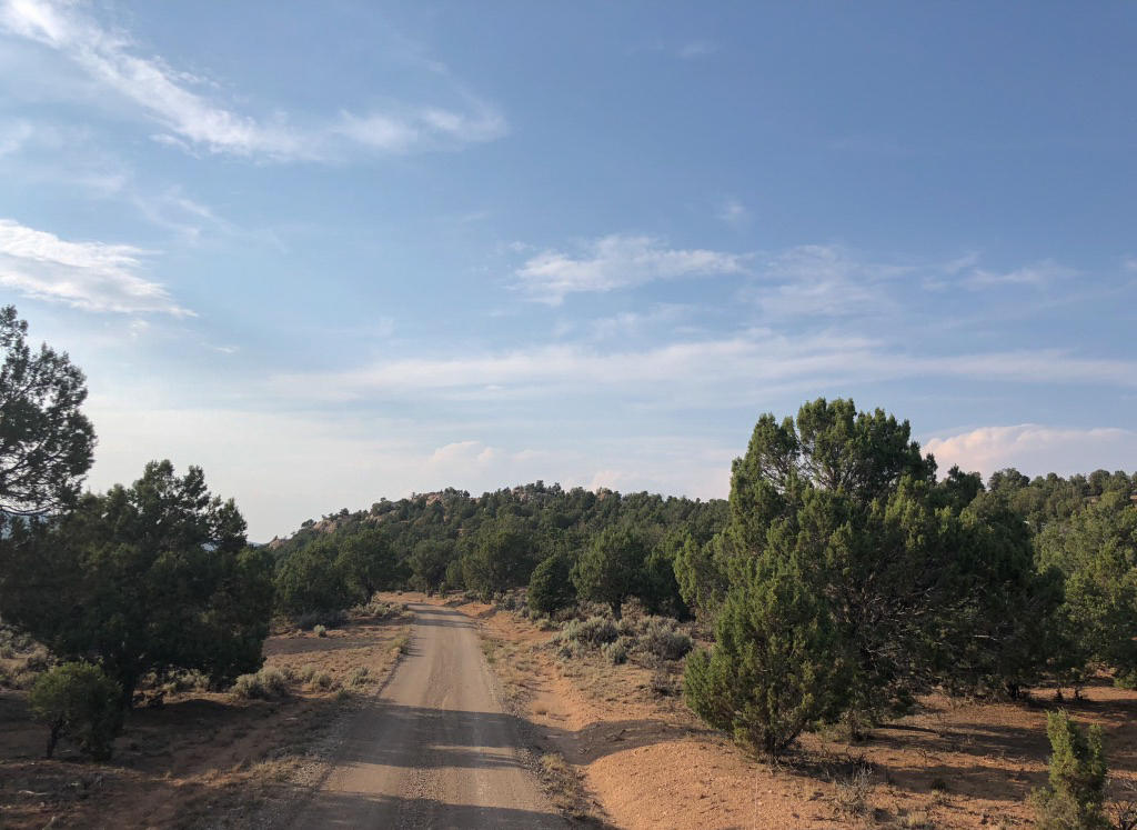 20 acres Mount Claron Comstock RD