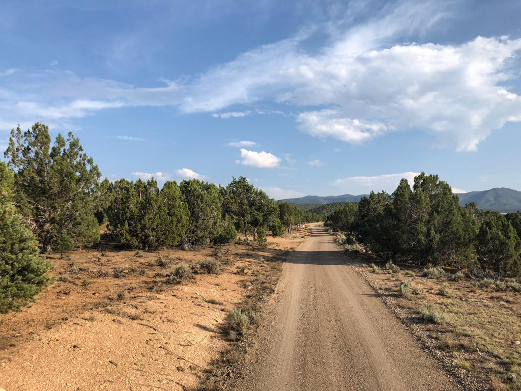 20 acres Mount Claron Comstock RD