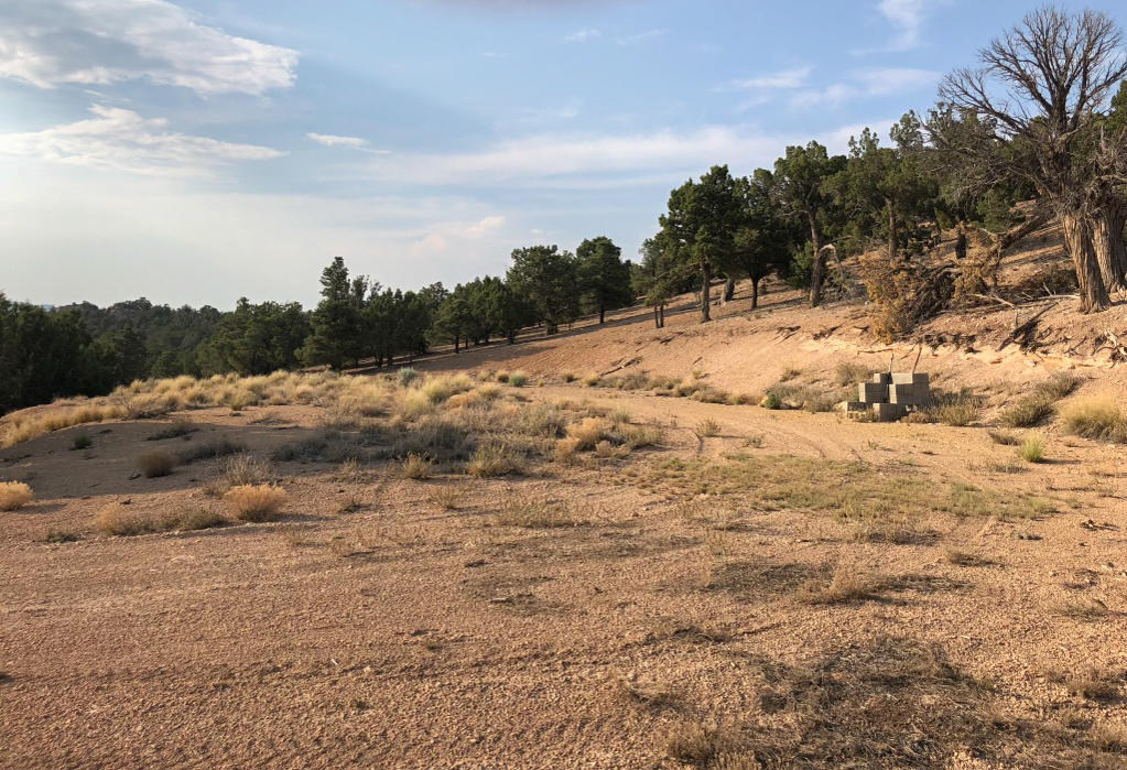 20 acres Mount Claron Comstock RD