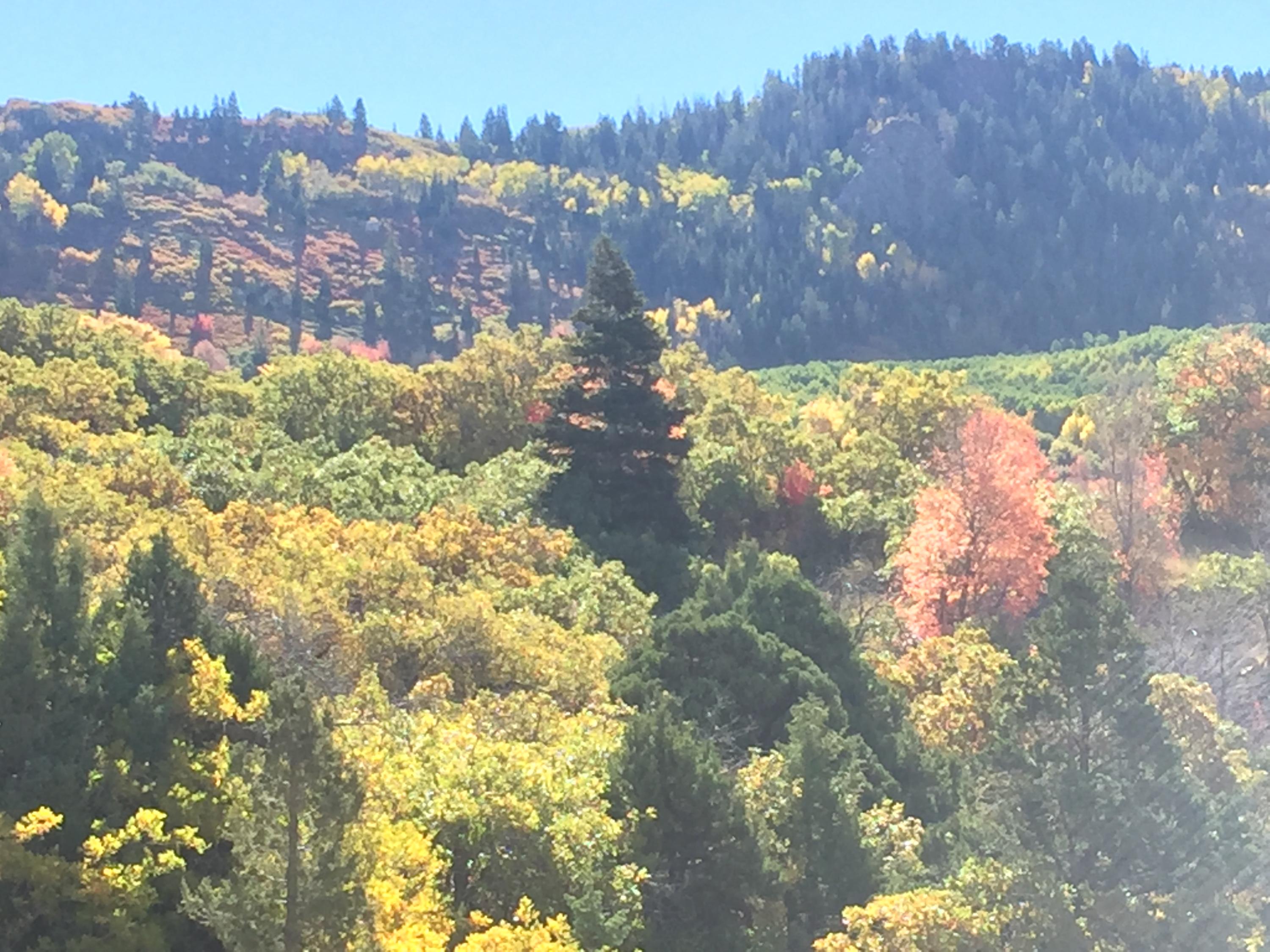 2215 S High Mountain View DR