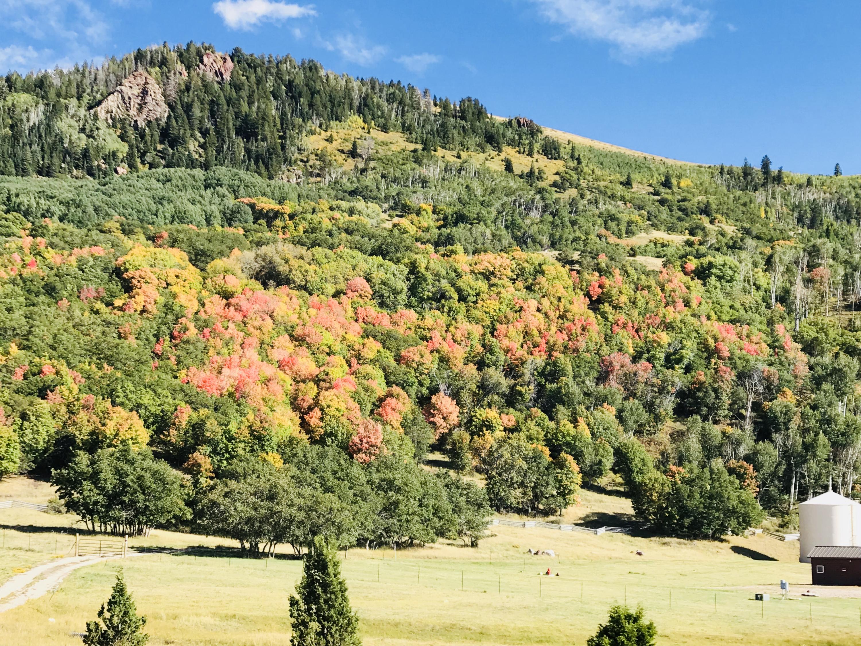 2215 S High Mountain View DR