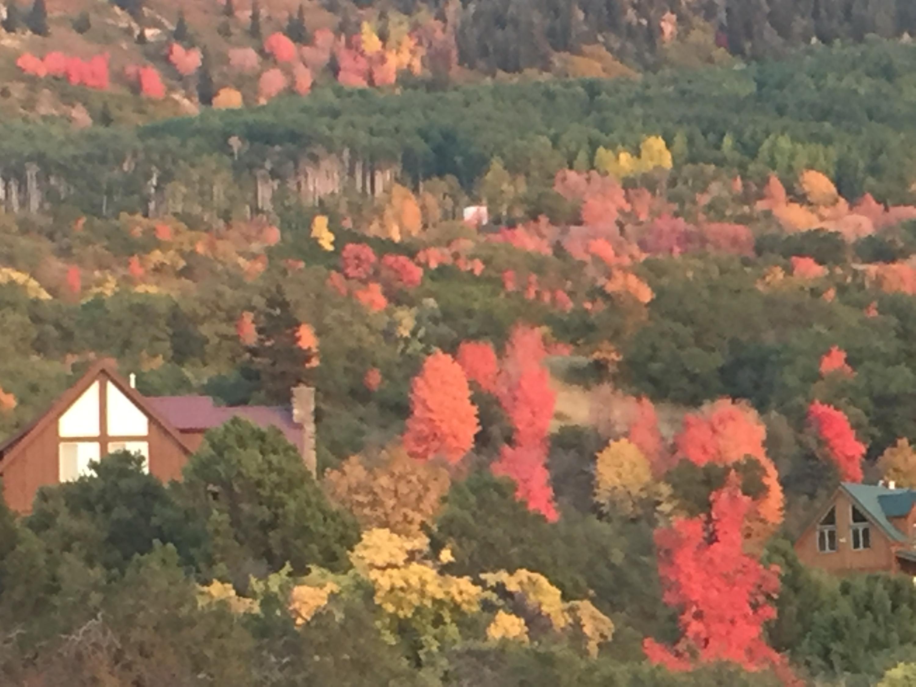 2215 S High Mountain View DR