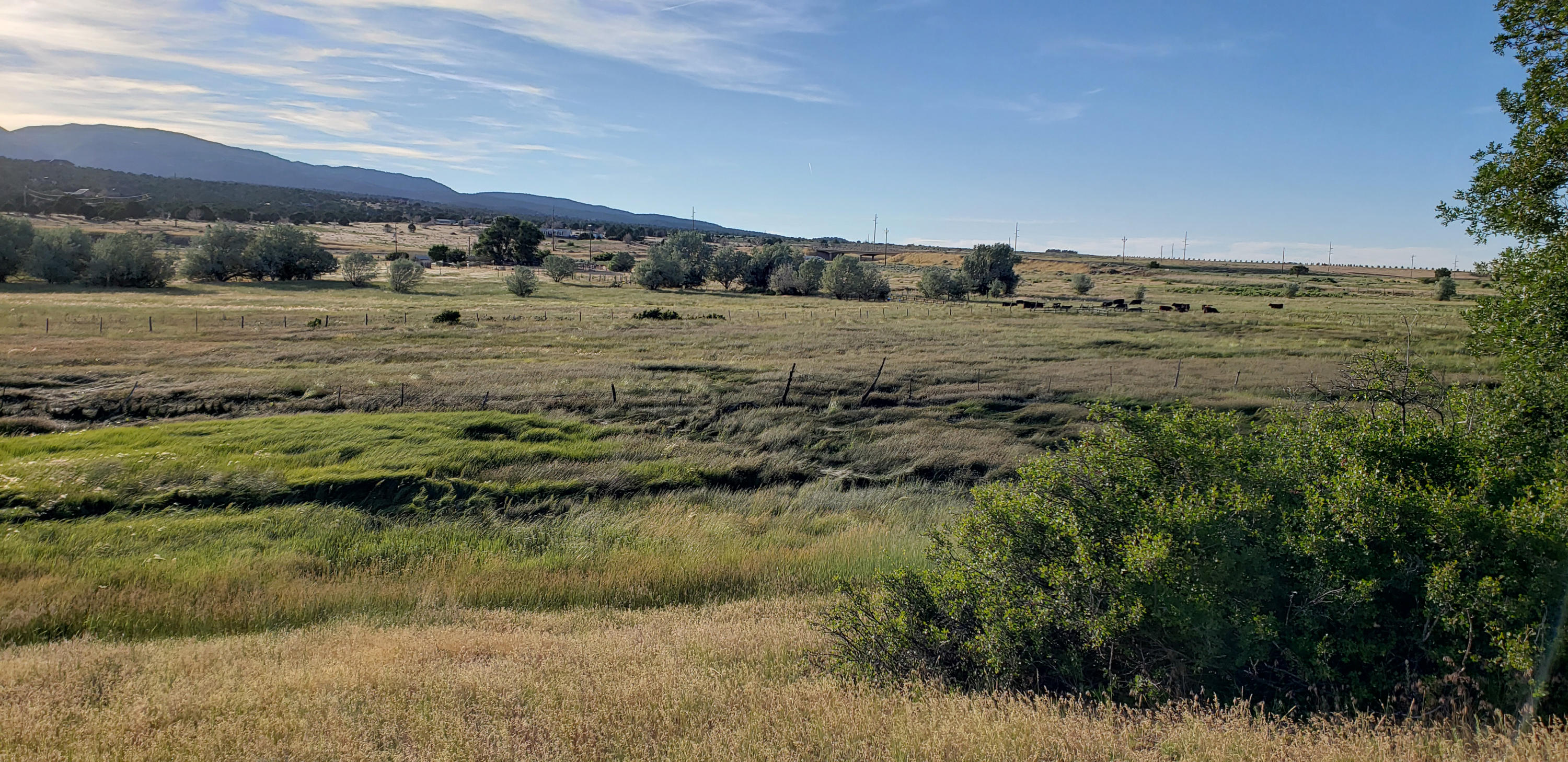 5 acres Near West Center St