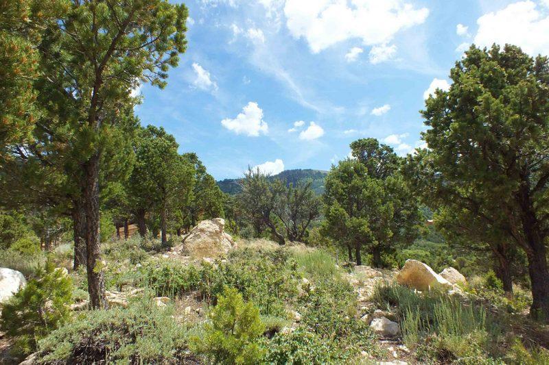 1951 S High Cedar View DR