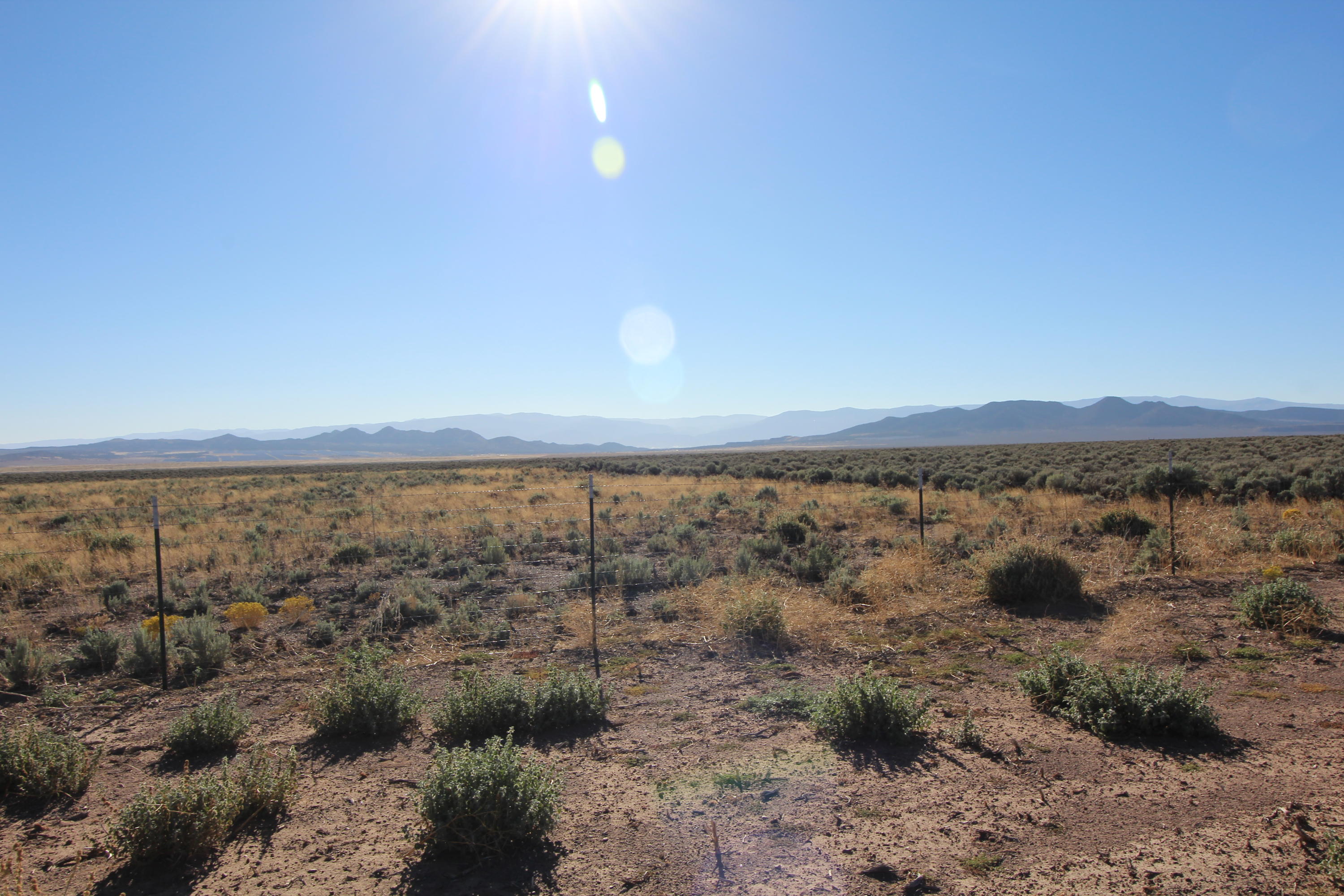 20 acres N 12700 West