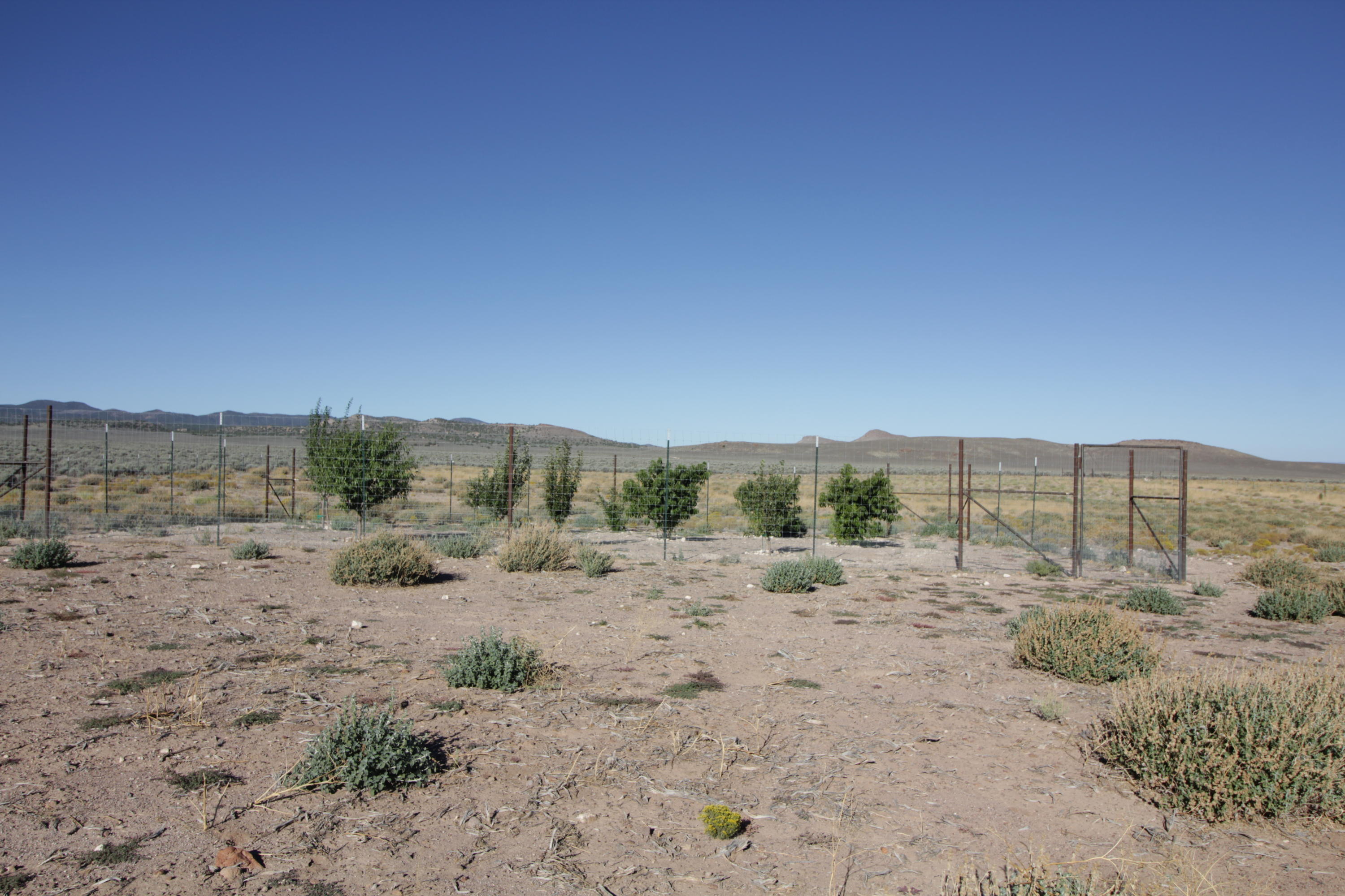 20 acres N 12700 West