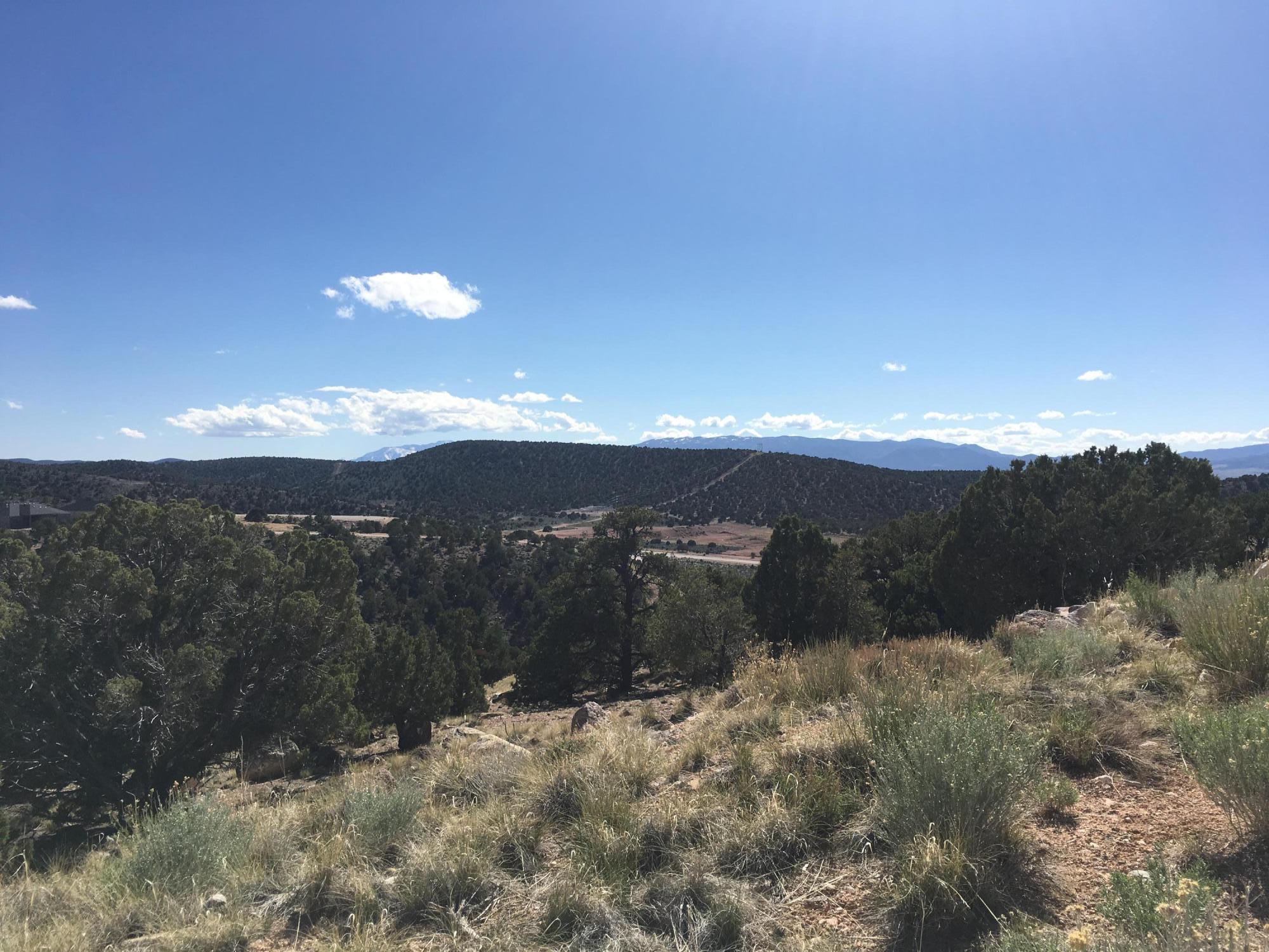 387 S Carmel Ridge CIR