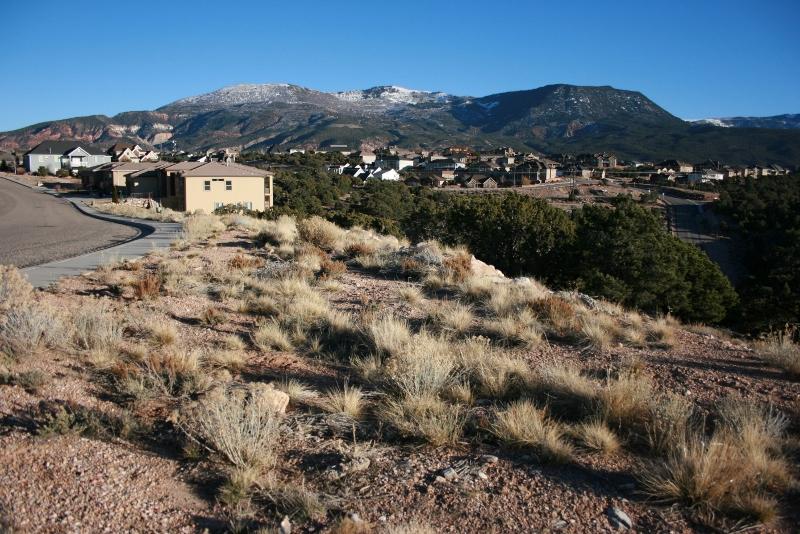 387 S Carmel Ridge CIR