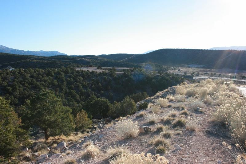 387 S Carmel Ridge CIR