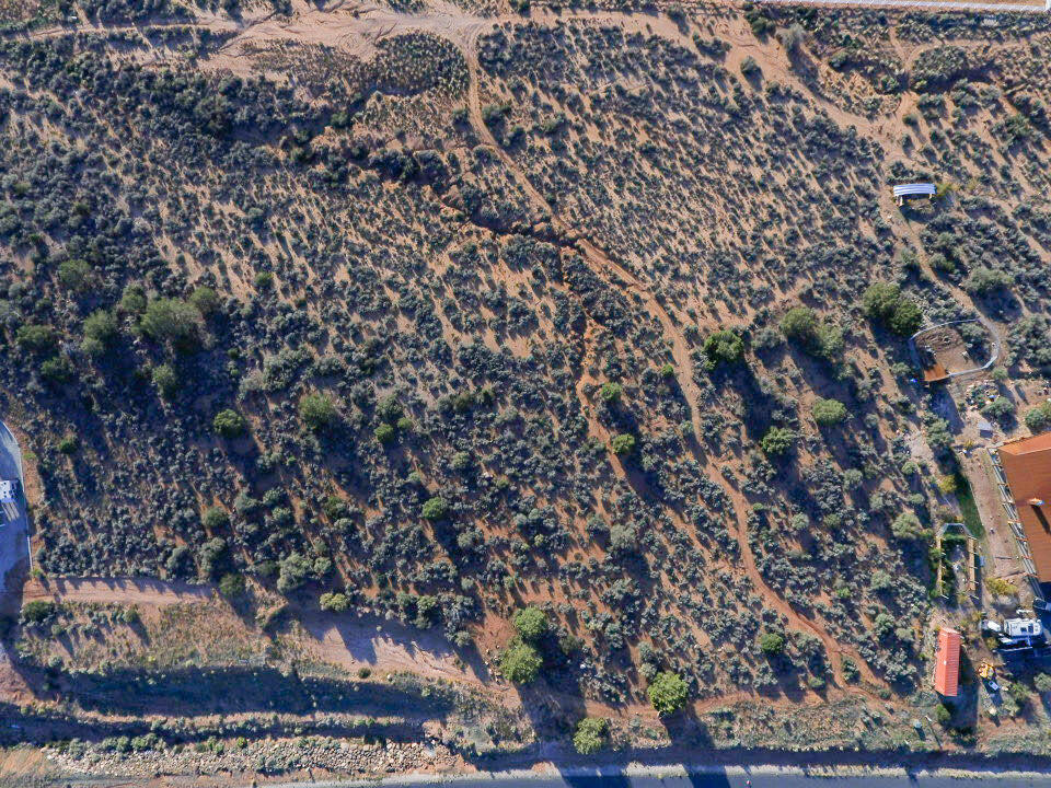 5+ acres, Lot 342, Badger Way