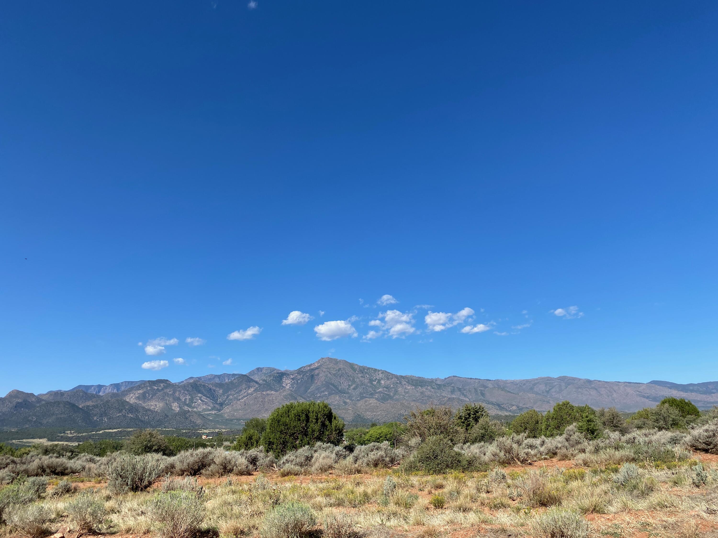 5+ acres, Lot 342, Badger Way