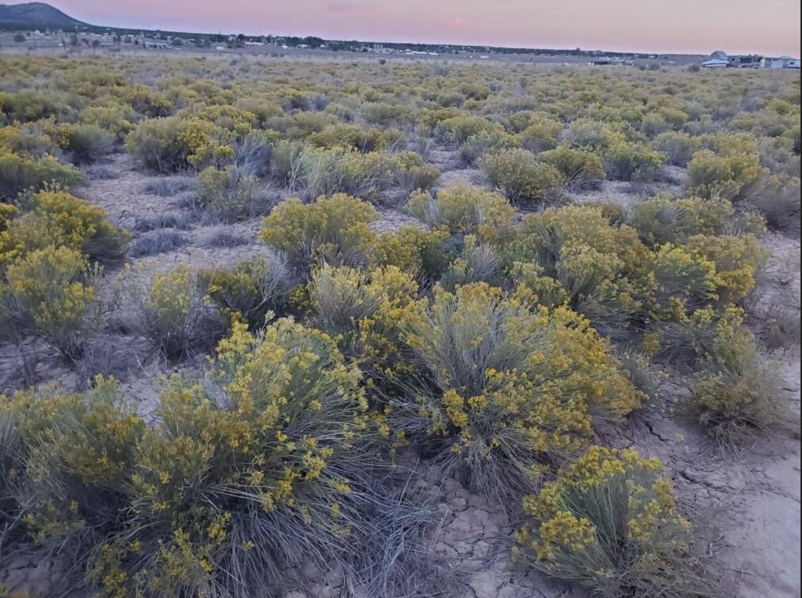 Lot 2 Cedar Valley Acres, BLK CQ BLK CQ