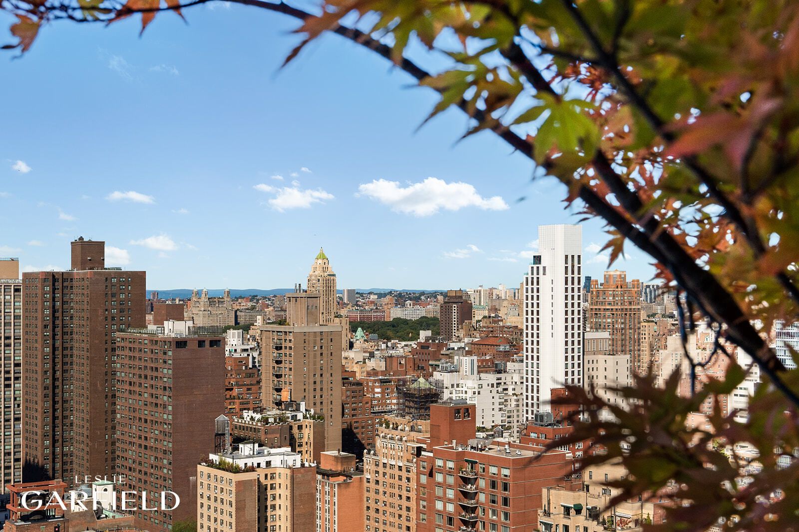 400 E 70th Street 3602