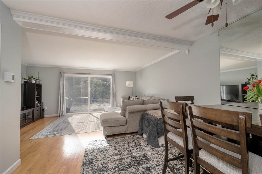 6 Adam St # 8