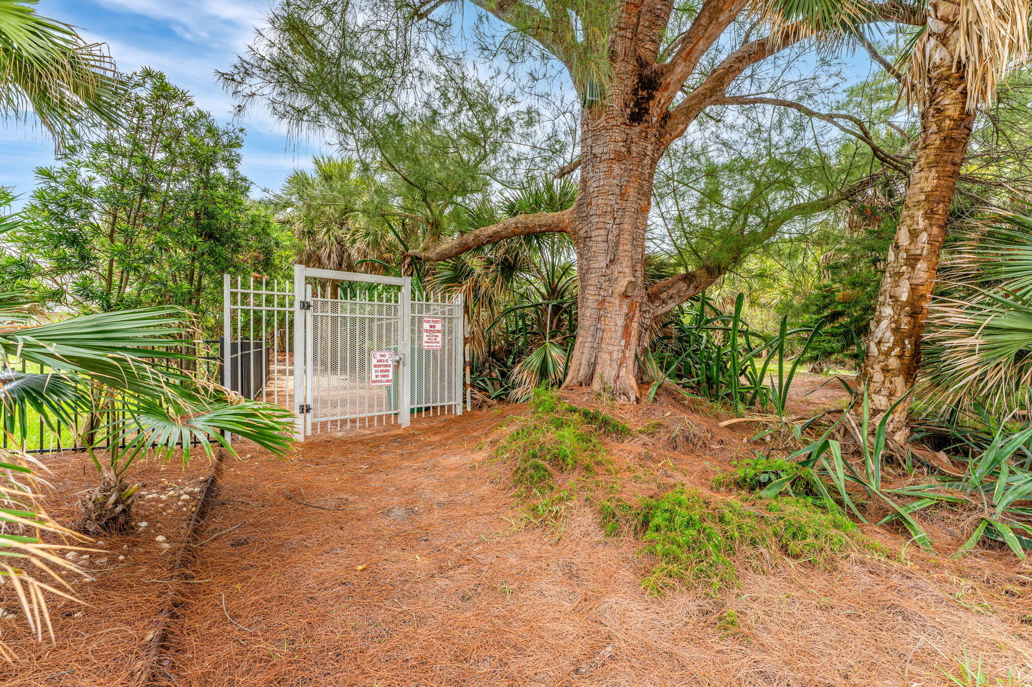 303 Hibiscus Trail