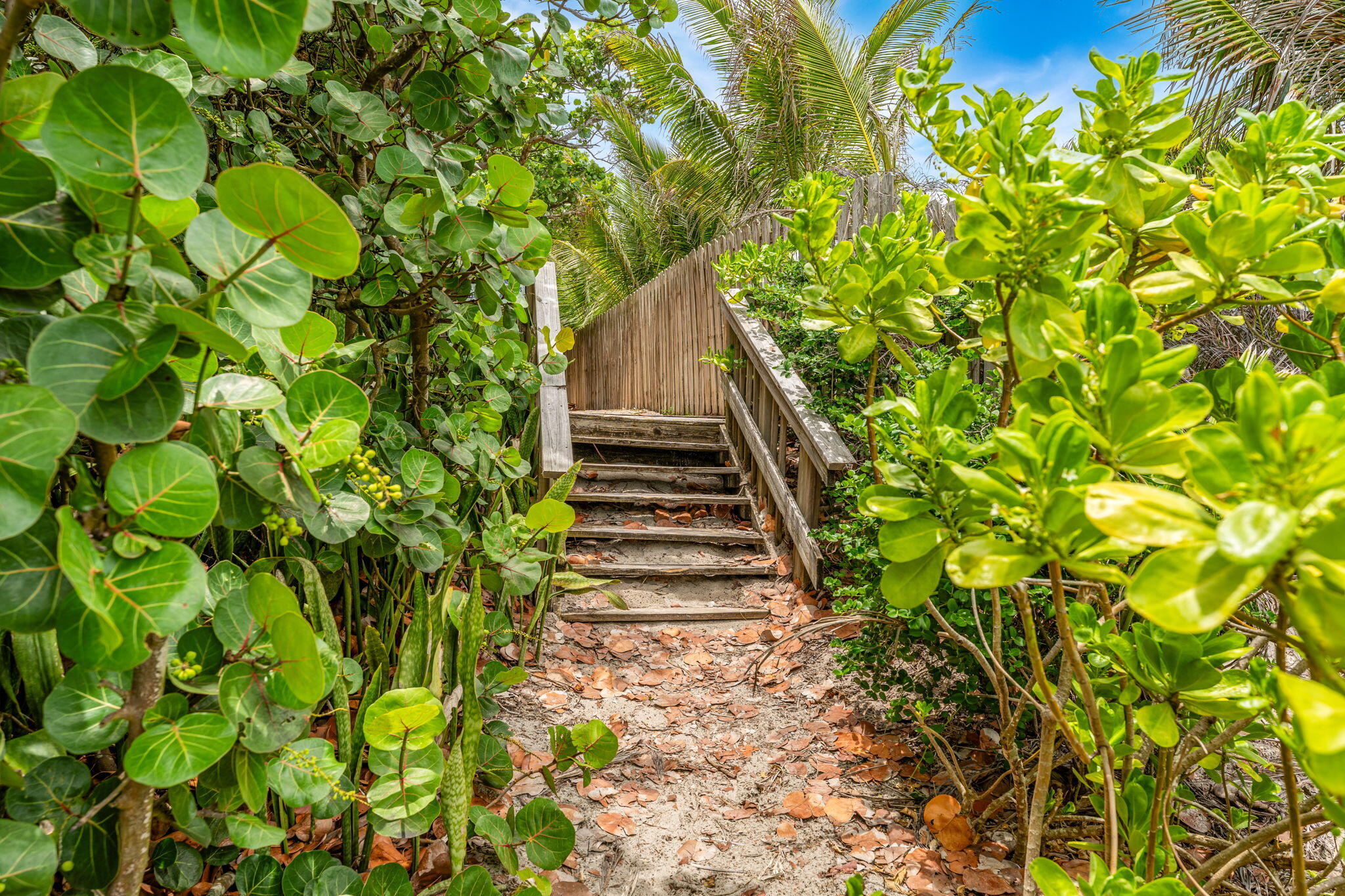 303 Hibiscus Trail
