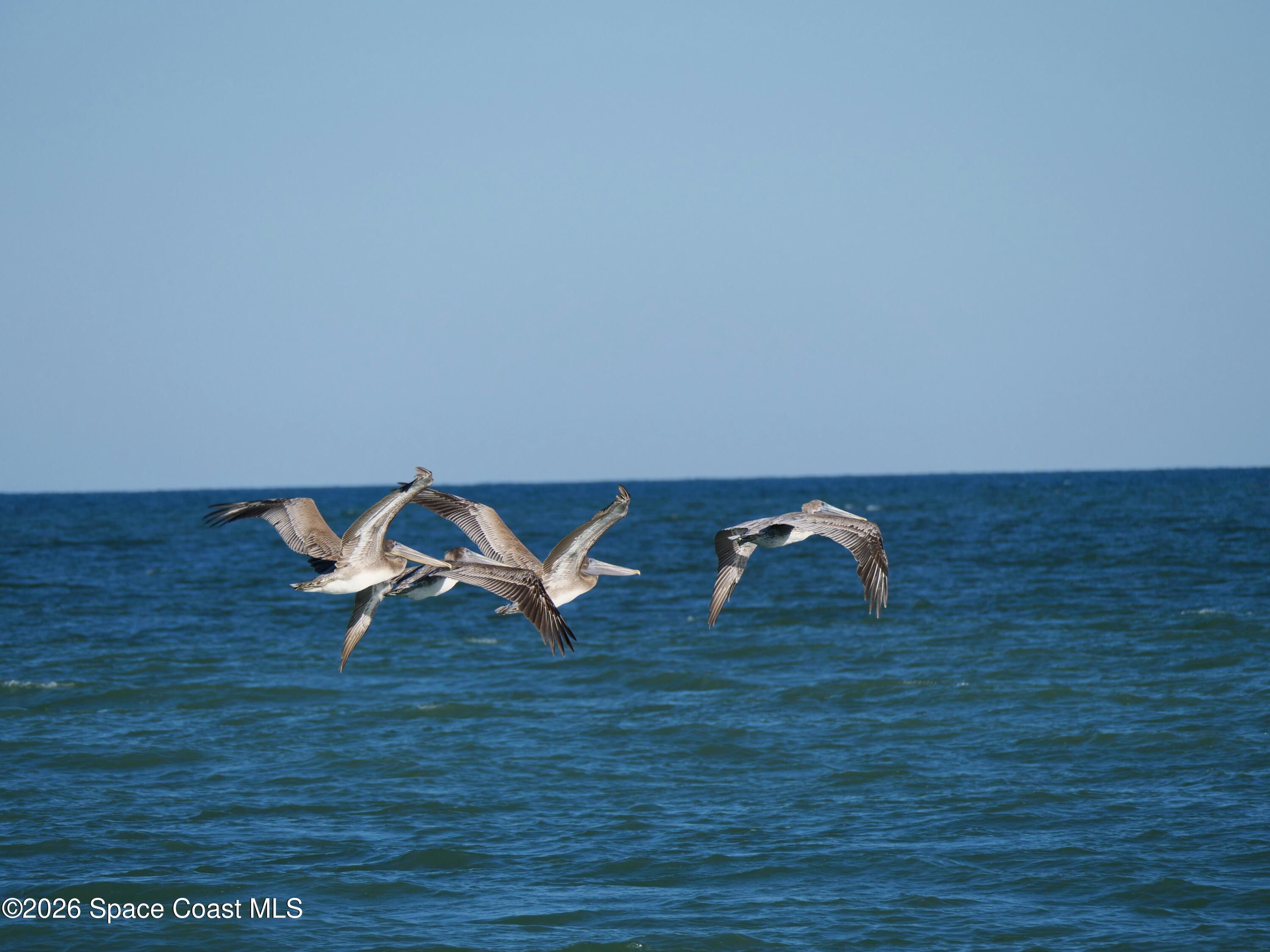 2880 S Atlantic Avenue 102