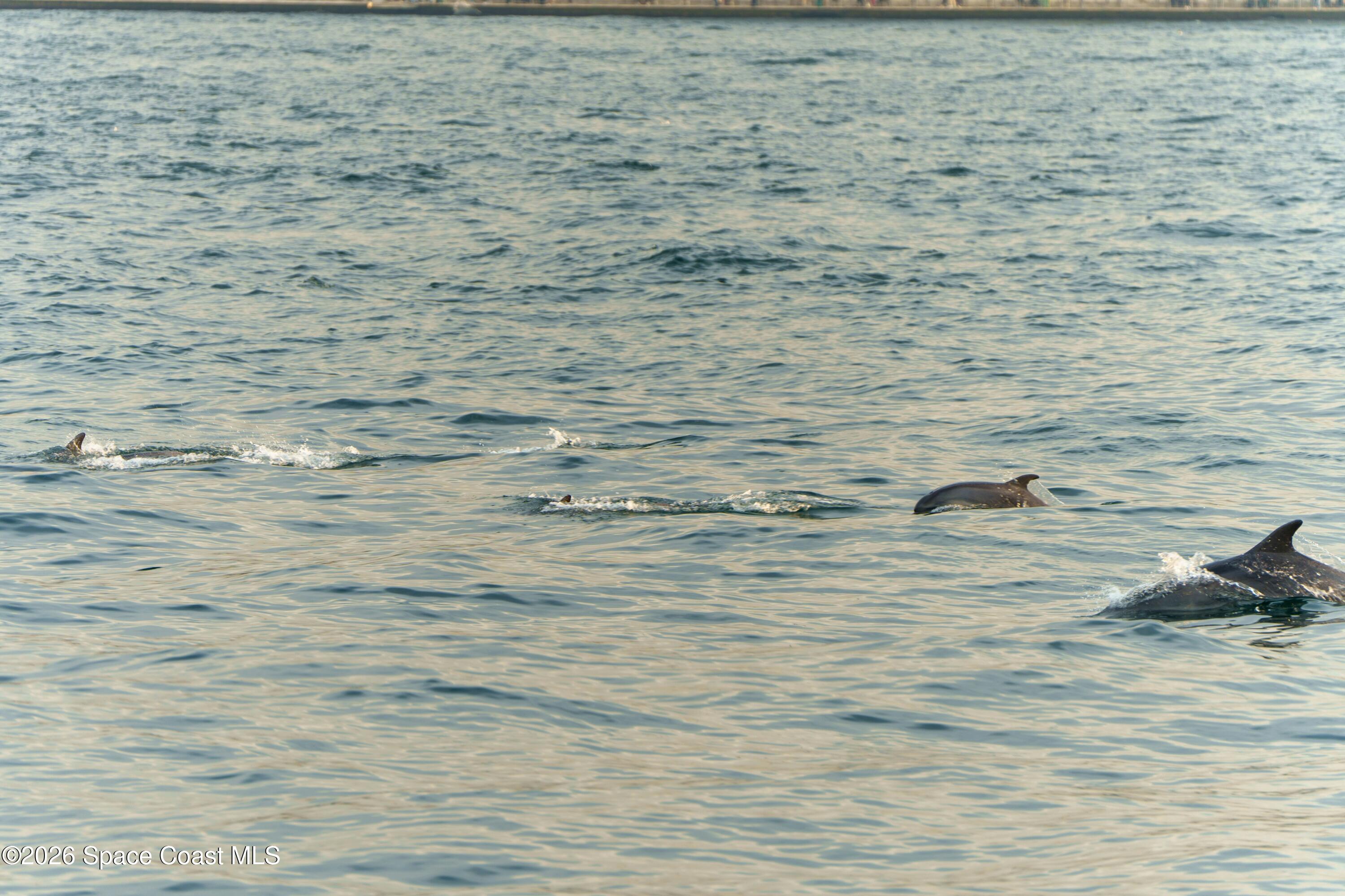 2880 S Atlantic Avenue 102