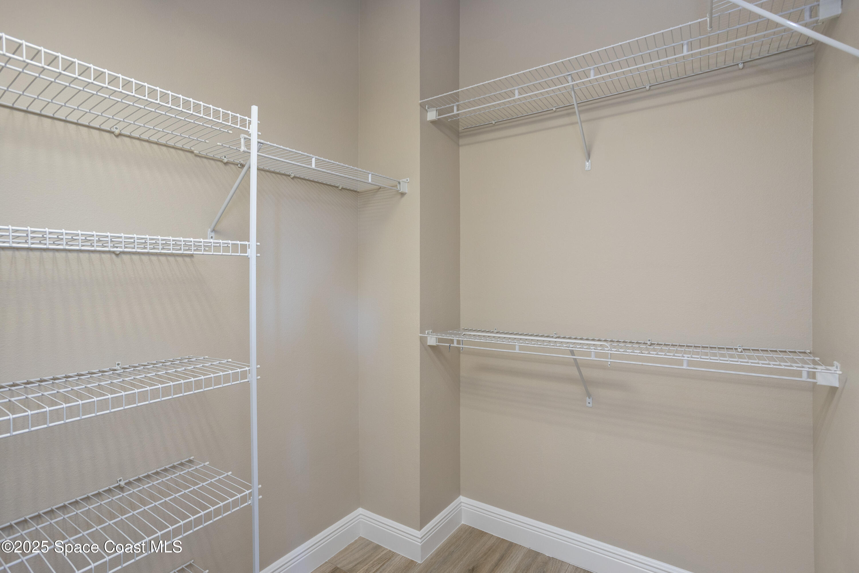 3781 Fringetree Lane