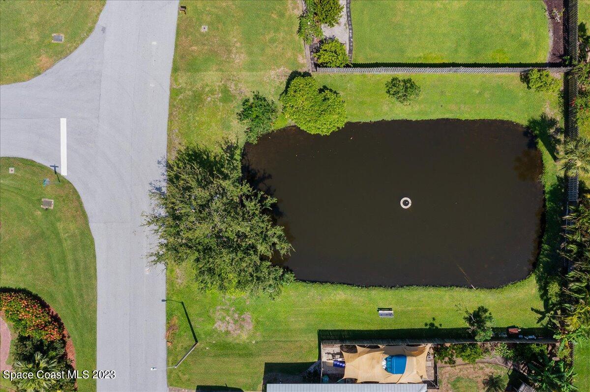 591 Spindle Palm Drive