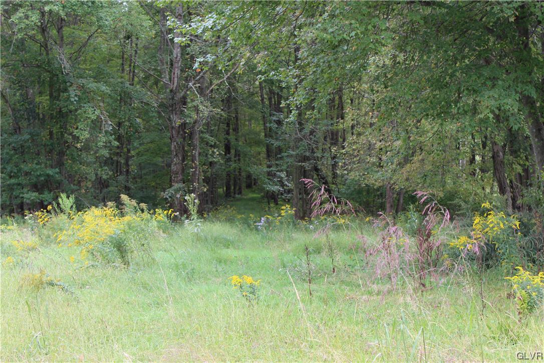 Summer Valley Road Lot #5