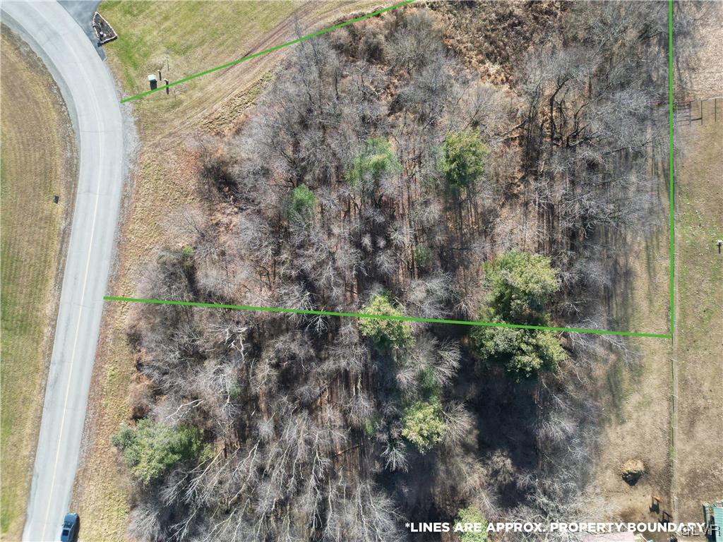 16 LOT Rick's Road