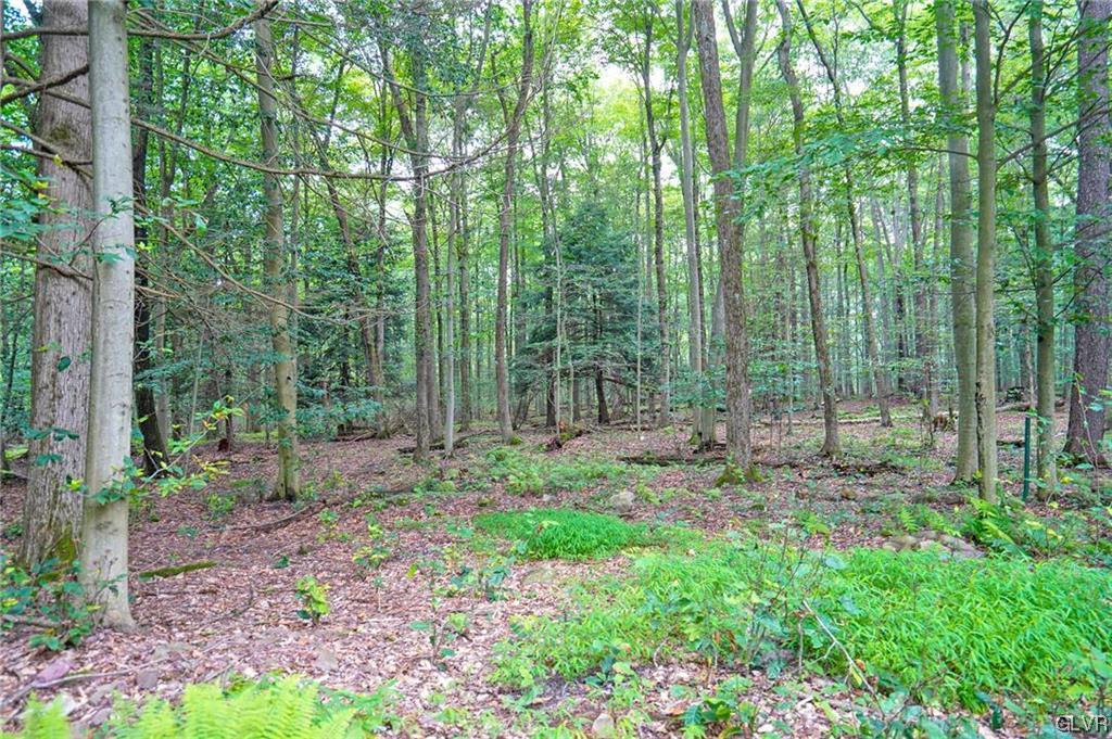 187 Wildwood Drive