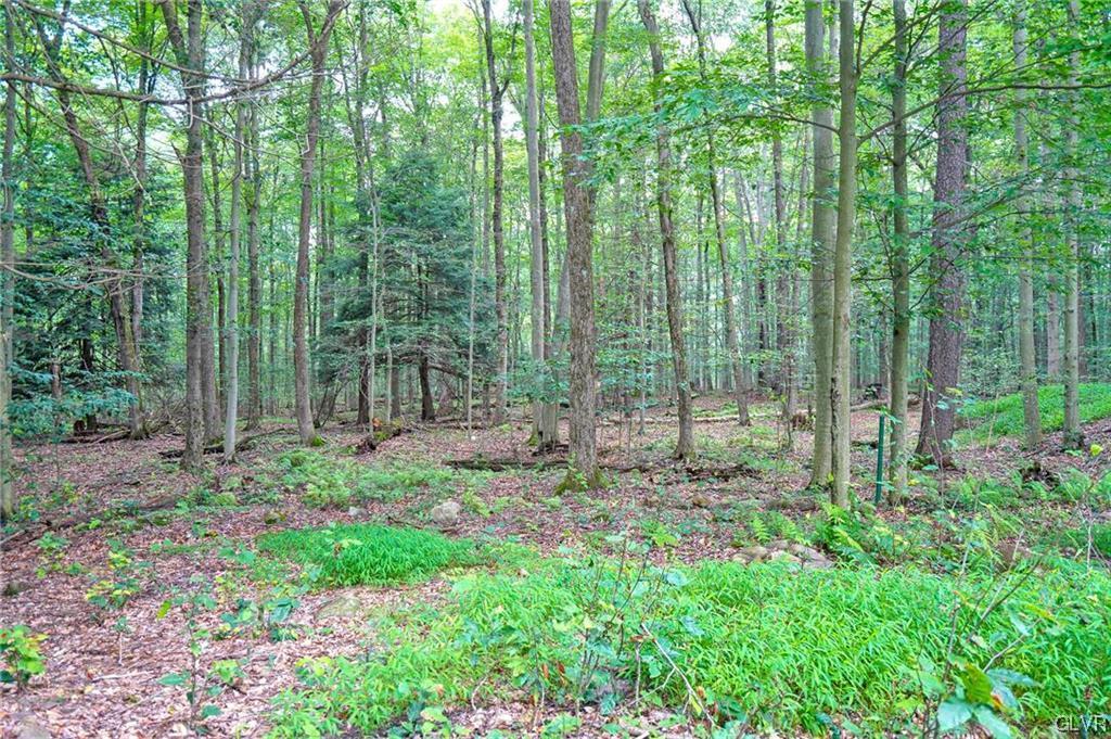 187 Wildwood Drive
