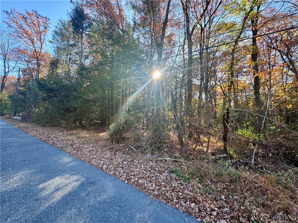Stone Mountain Drive West