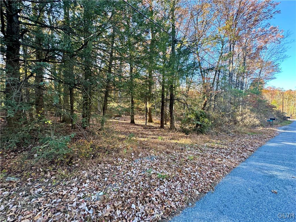 Stone Mountain Drive West
