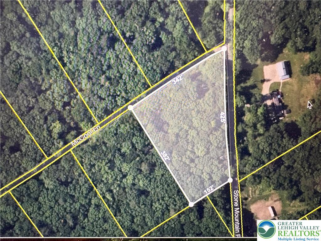 Stone Mountain Drive