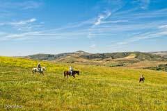 6500 Santa Rosa Road