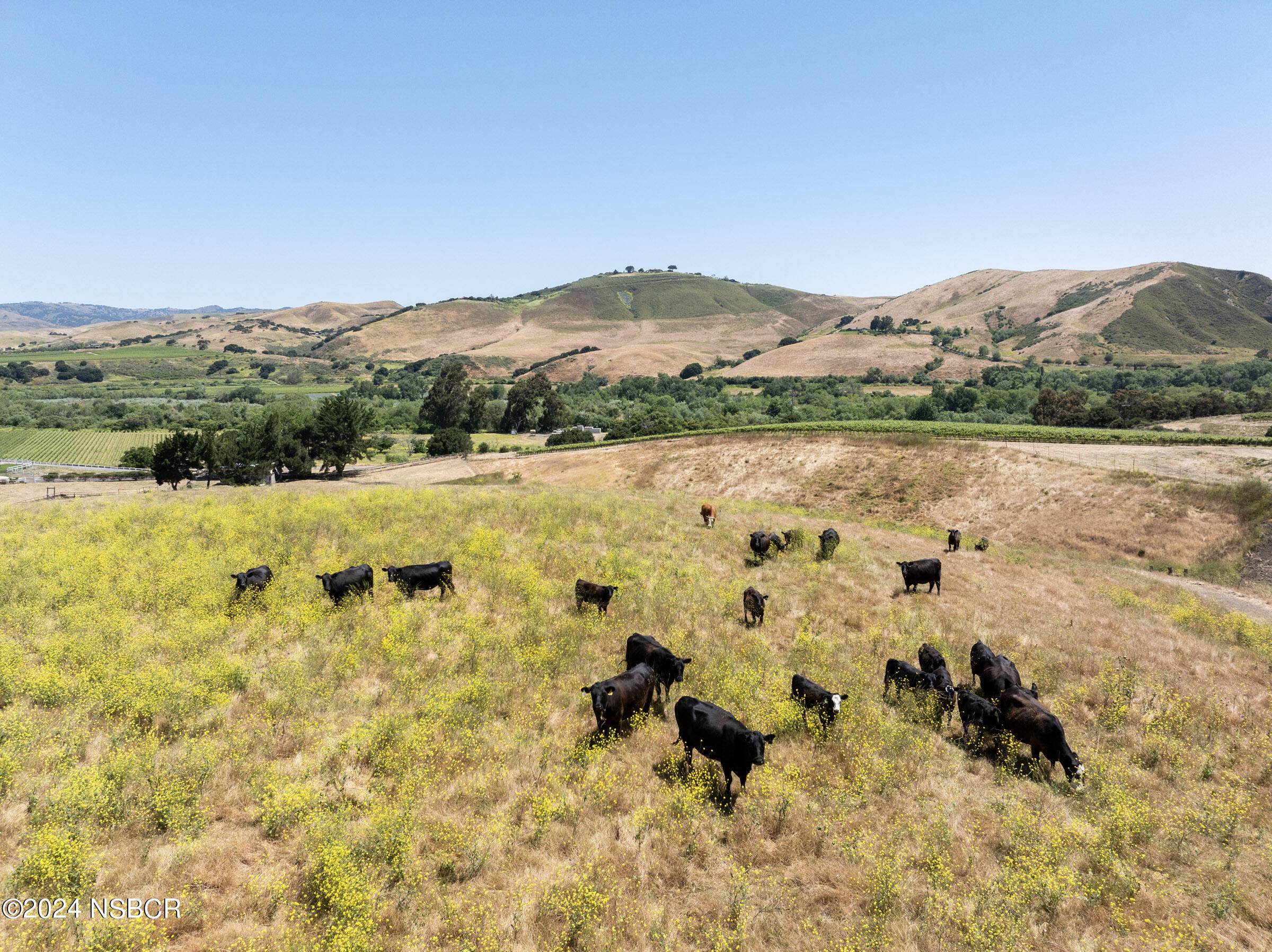 6500 Santa Rosa Road