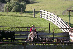 6500 Santa Rosa Road