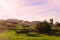 6500 Santa Rosa Road