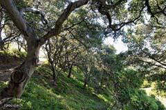 6500 Santa Rosa Road