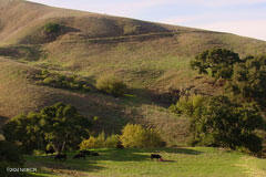 6500 Santa Rosa Road