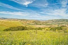 6500 Santa Rosa Road