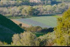 6500 Santa Rosa Road