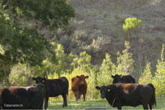 6500 Santa Rosa Road