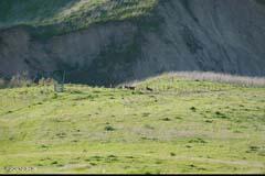 6500 Santa Rosa Road