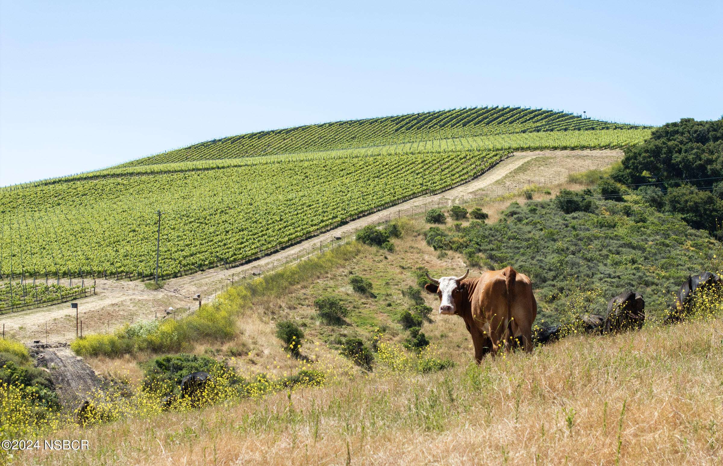 6500 Santa Rosa Road