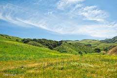 6500 Santa Rosa Road